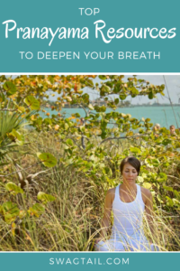 Pranayama, or conscious breathing techniques, go hand-in-hand with an active yoga practice. The pranayama resources in this blog post show you not only how to deepen your breath, but powerful ways to use it to nourish your body, mind, and spirit.