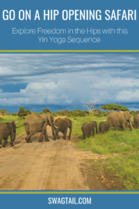The terrain of the hips, much like the African plains, provide endless opportunities for exploration. This structure determines how the spine rests and moves, and this hip-opening yin yoga sequence is designed to create more freedom around the entire pelvic girdle.