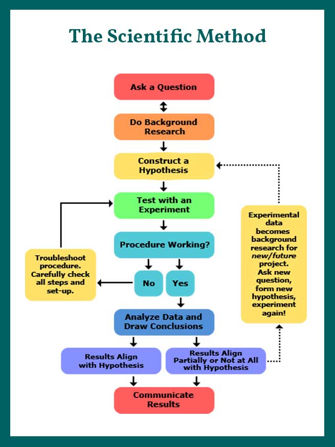 Principles of Sequencing: How to Plan Yoga Class to Energize or Relax