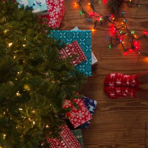 When life gets full, schedules get screwy, and the frivolity of the holiday season gets into full swing, it can be easy to get disoriented. Instead, stay grounded this holiday season by using the simple postures and activities outlined in this blog post. You’ll remain energized, focused, and joyful as a result!