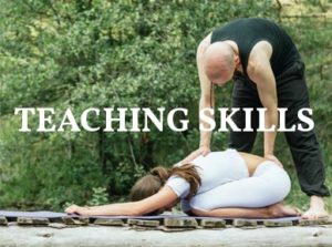 Swagtail Yoga Teaching Tools for Yoga Professionals