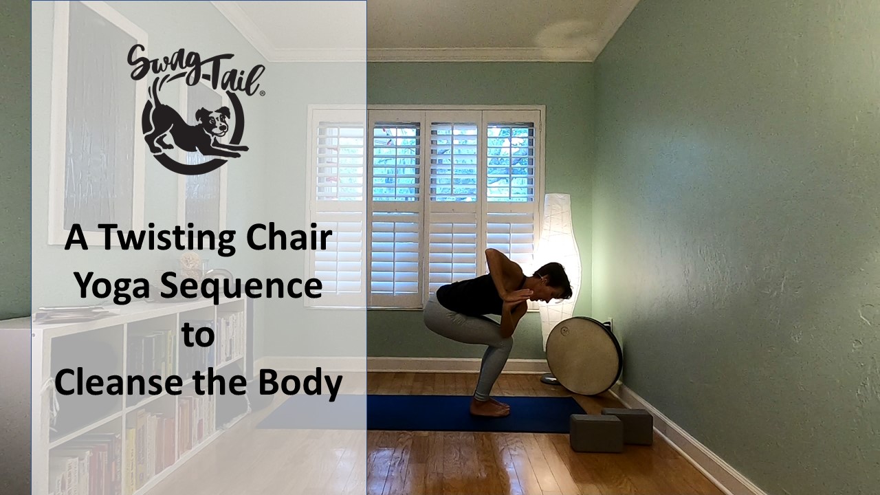 7 Chair Yoga Poses - Yoga with Kassandra Blog