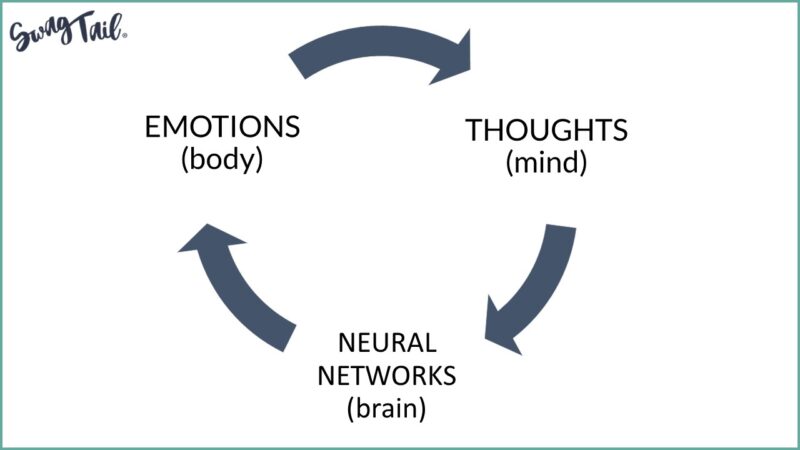 THE MIND, BRAIN, AND BODY CONNECTION - Swagtail