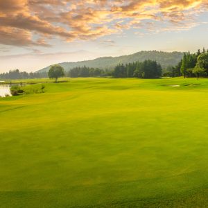 great golf adventure begins banner