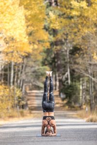 swagtail yoga total transformation