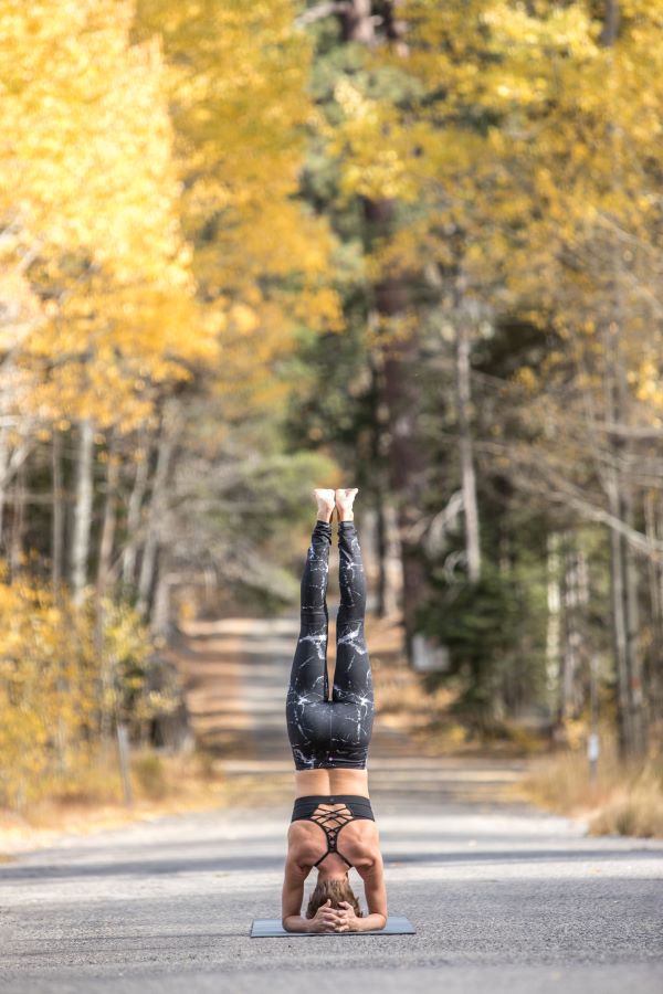 swagtail yoga total transformation