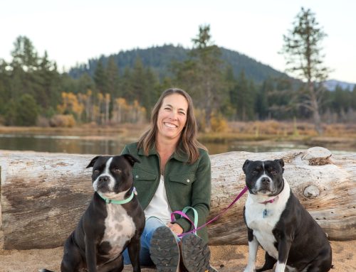 MEET LUNA: OUR SECOND PUPPY