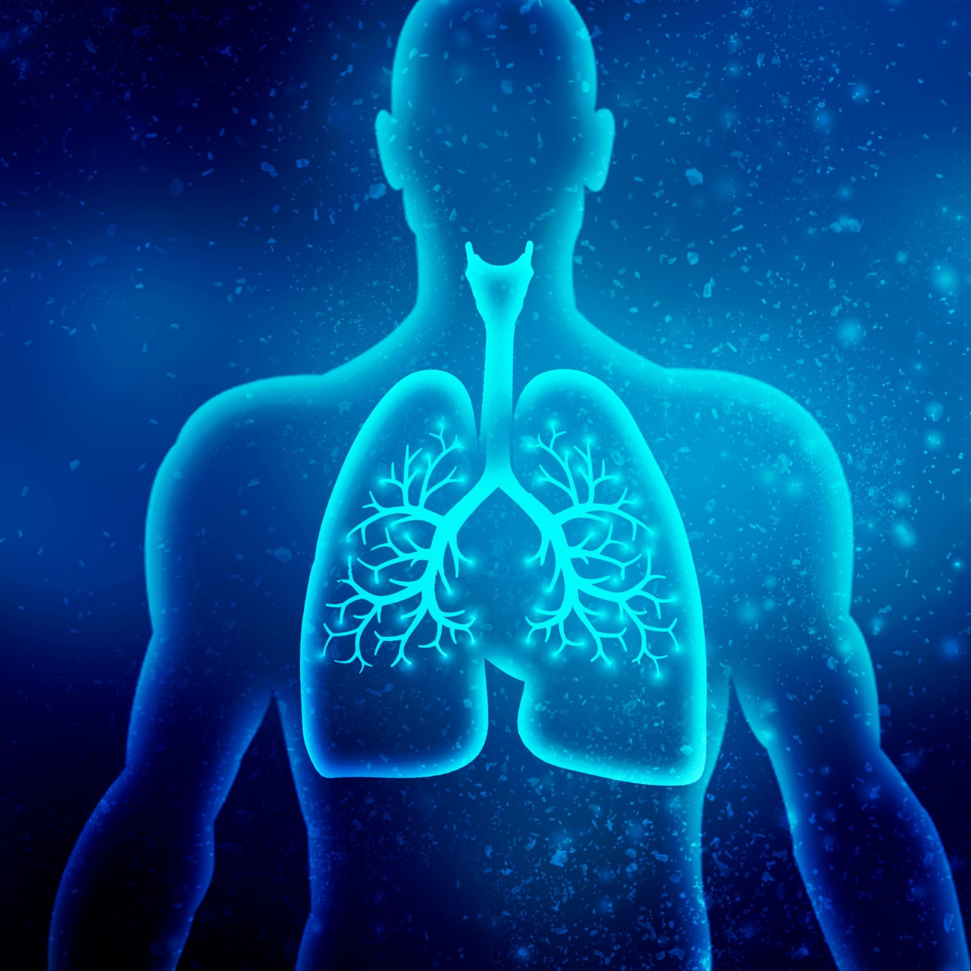 the power of somatic breathing with sierra wilde