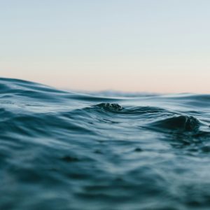 swagtail sea of spirituality banner