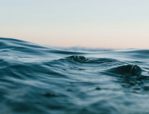 SWIMMING IN A SEA OF SPIRITUALITY