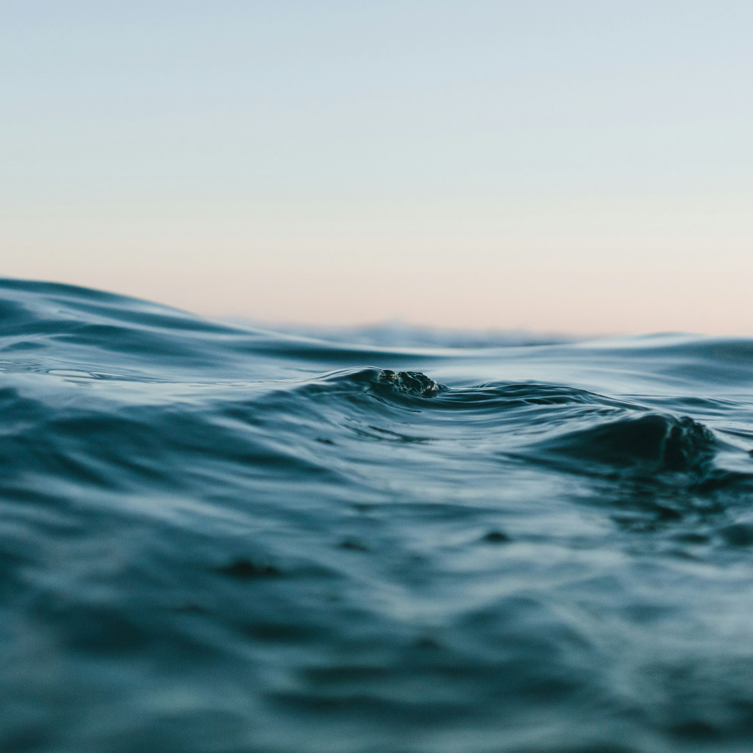 swagtail sea of spirituality banner