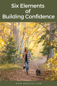 building confidence swagtail