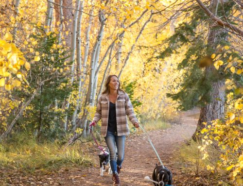 SIX ELEMENTS OF BUILDING CONFIDENCE